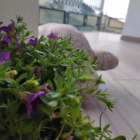 Apartament Attico Gloria & Greta Castellammare del Golfo Zewnętrze zdjęcie