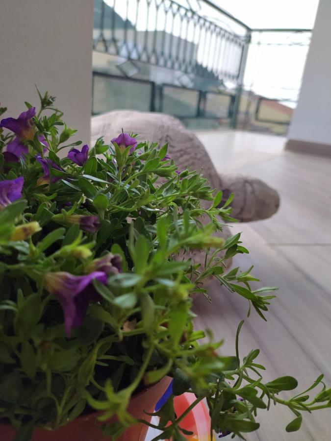 Apartament Attico Gloria & Greta Castellammare del Golfo Zewnętrze zdjęcie